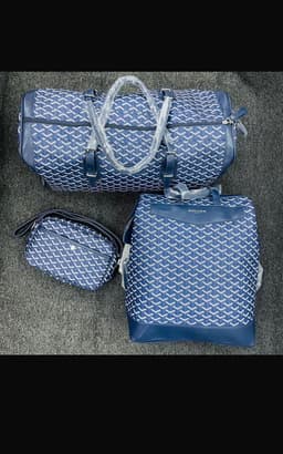 Back pack